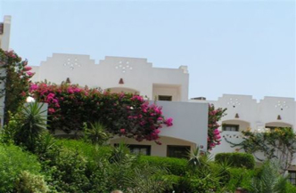 Verginia Sharm Hotel 3