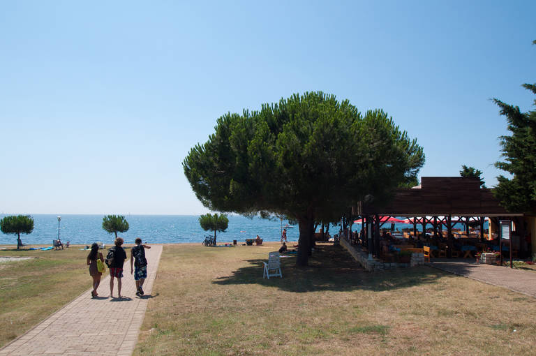 Camping: Park Umag 31