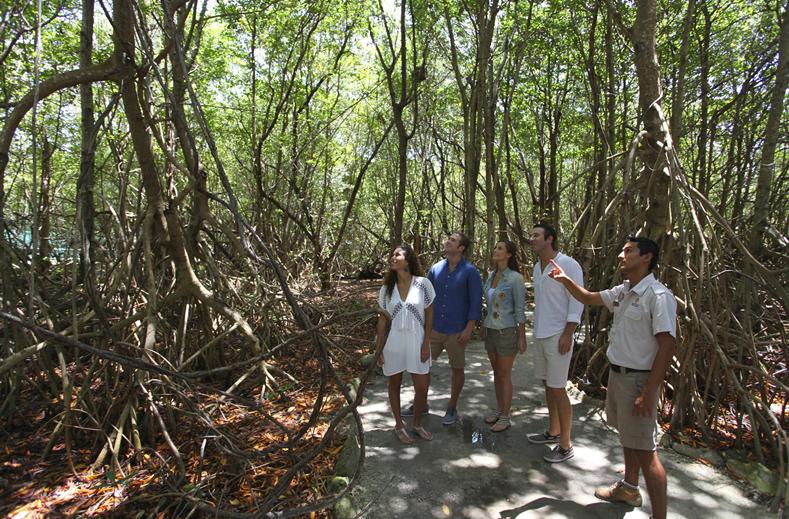 Sandos Caracol Eco Resort en Spa 2