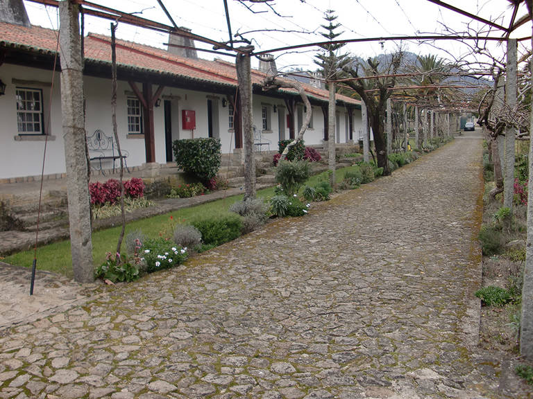 Quinta Dom Sapo 19