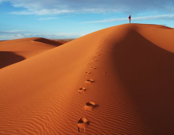 Sahara  Langs tempels en oases 1