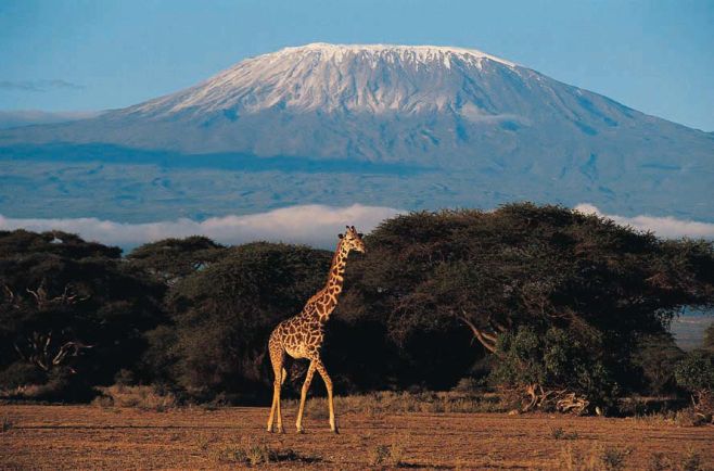 Serengeti enen Kilimanjaro 2