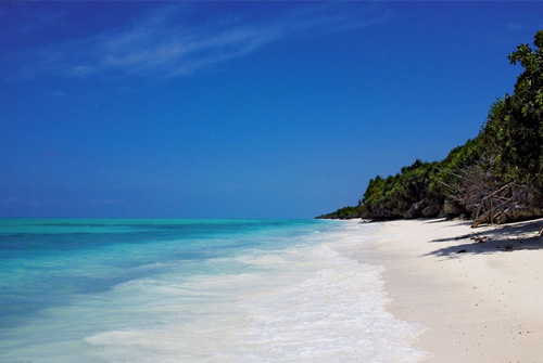 Combinatiereis Tanzania en duiken in Zanzibar 8