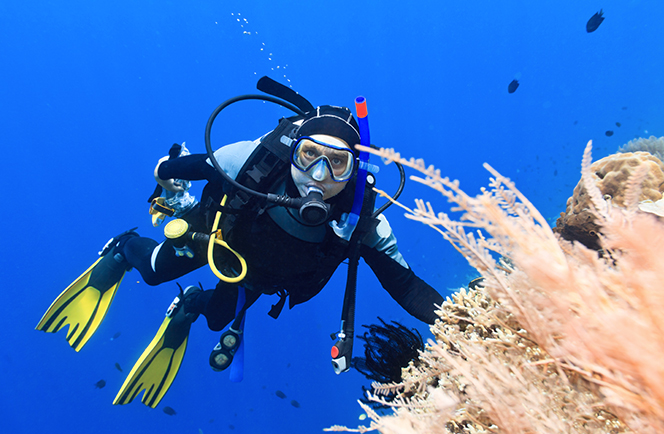 Froggies Divers Bunaken incl 10 bootduiken 2