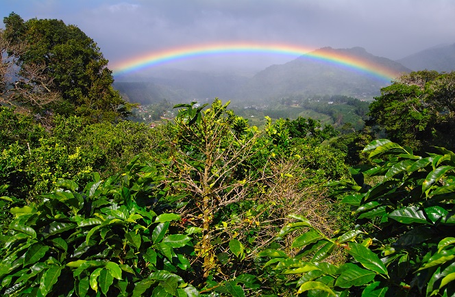 Best of Costa Rica and Panama 4