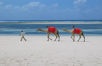 16dgn incl 4daagse Safari Mombasa Rendez Vous met Southern Palms Beach