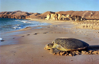 Natural Heights of Muscat 1