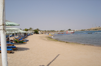 SPECIAL! 11daagse 4* Cairo enen Sharm El Sheikh IA161 1