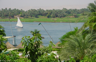 SPECIAL! 11 daagse rondreis Cairo en Nijlcruise IA162 2