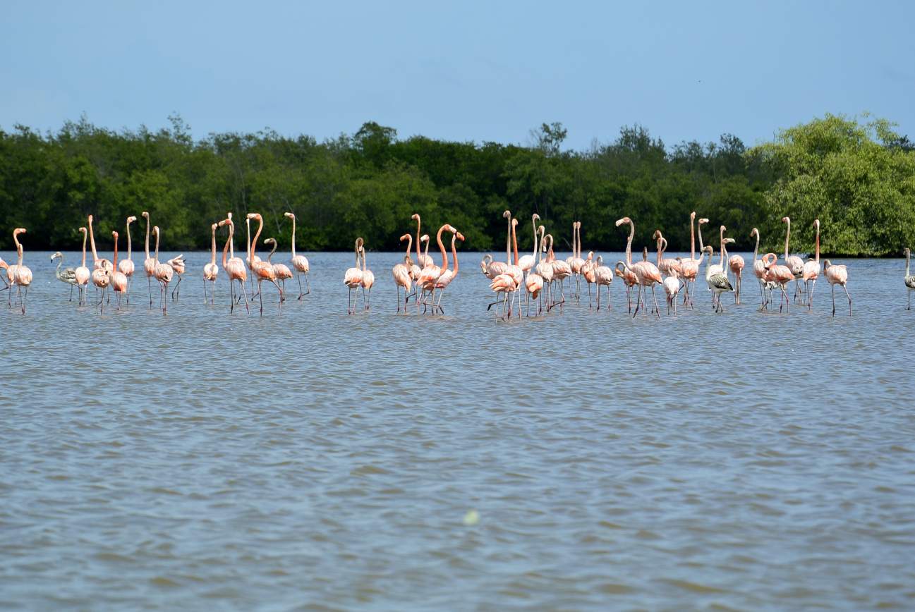 Suriname Cultuur en Avontuur Rondreis 13