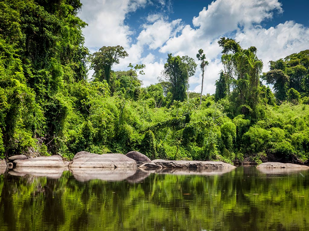 Suriname Oost-Zuid-West Rondreis  0