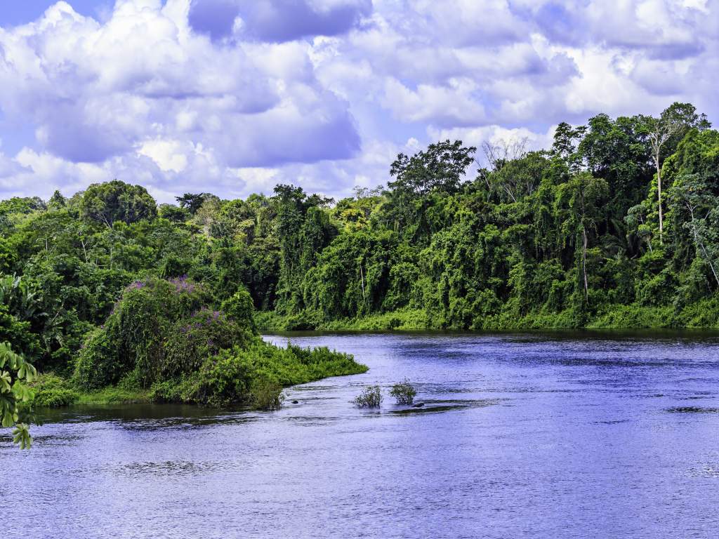 Individuele rondreis diverse vervoerstypes Betoverend Brazilië 4